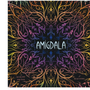 Amigdala